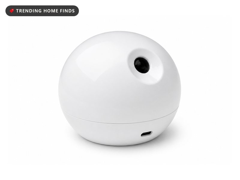 A small round white automatic cat laser toy with a small lens at its top.