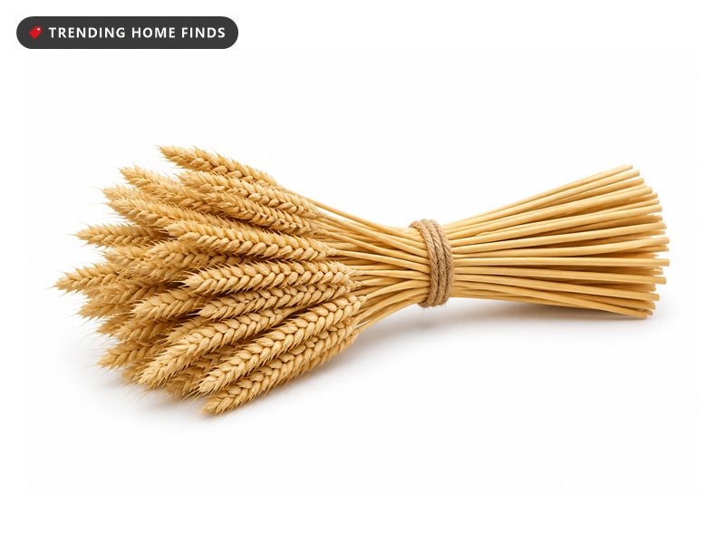 A full bundle of natural dried wheat stalks tied with twine, golden heads at one end.